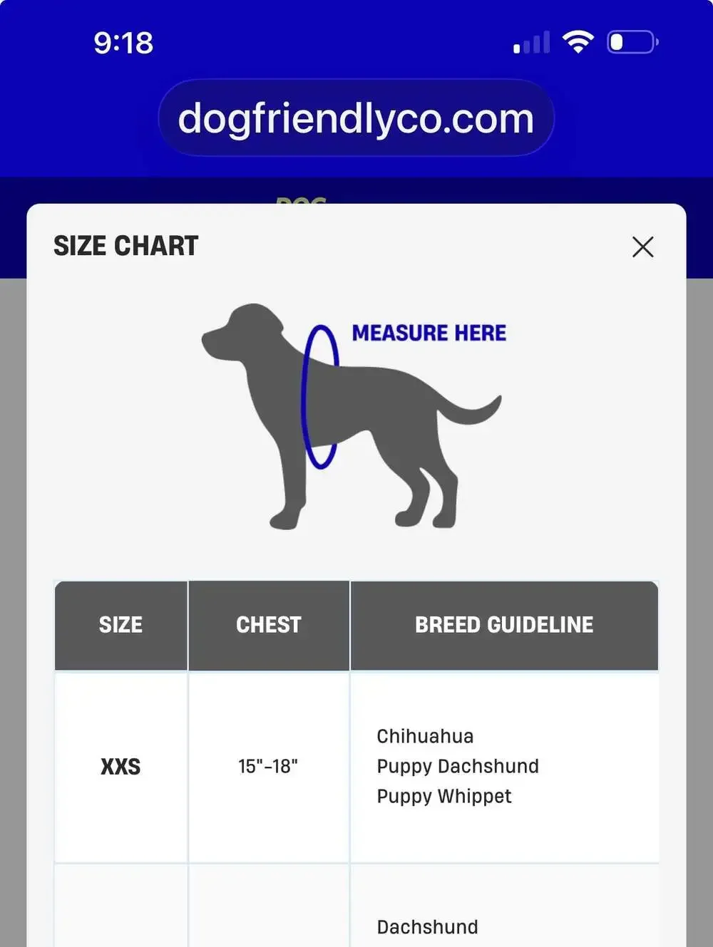 Dog Friendly Co. such great